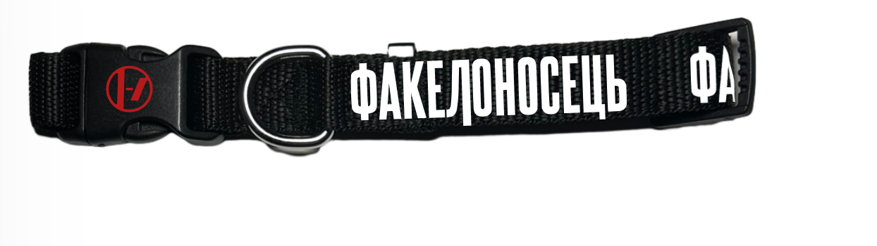 Torchbearer dog collar