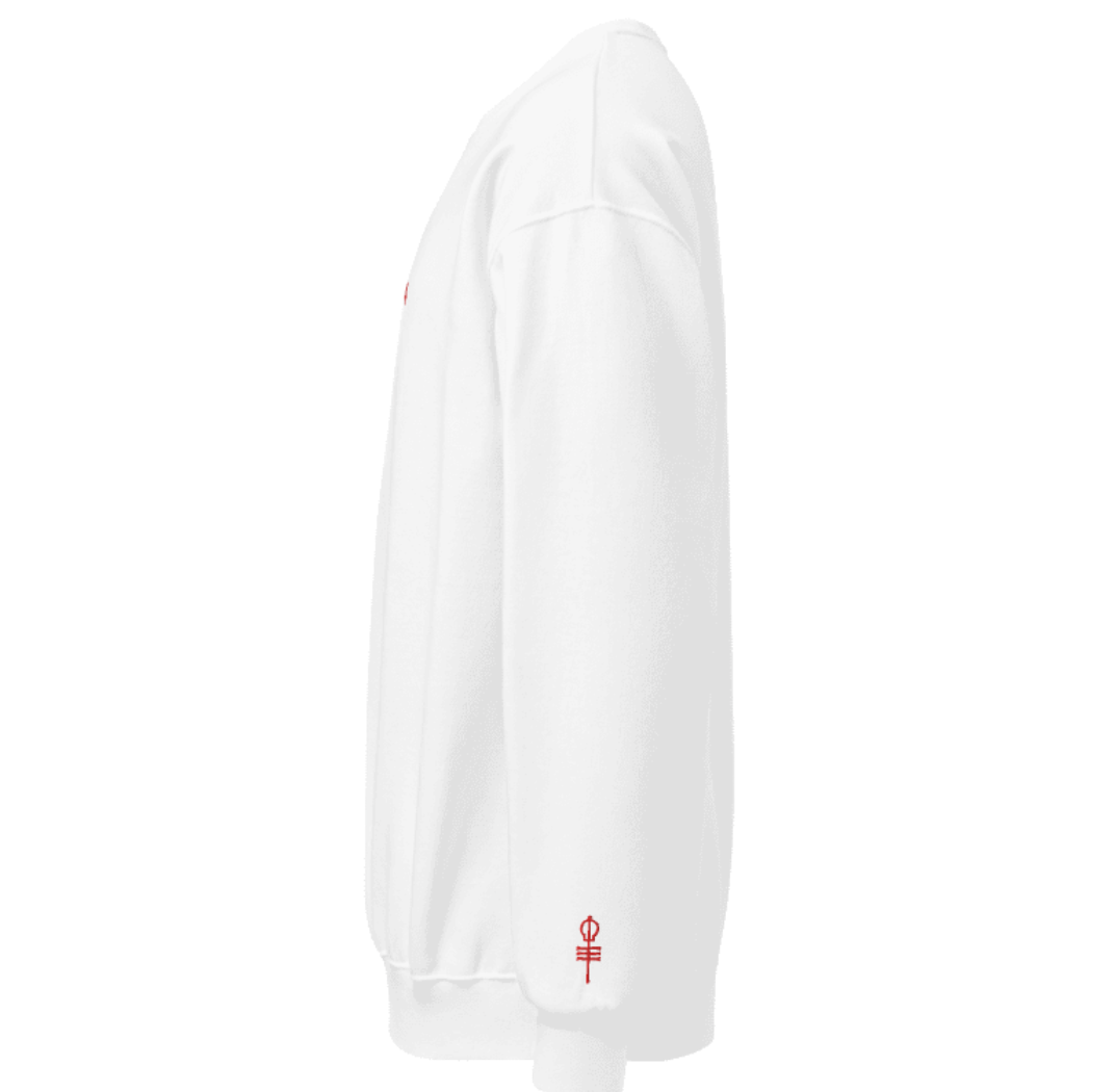 Embroidered Violation code crewneck