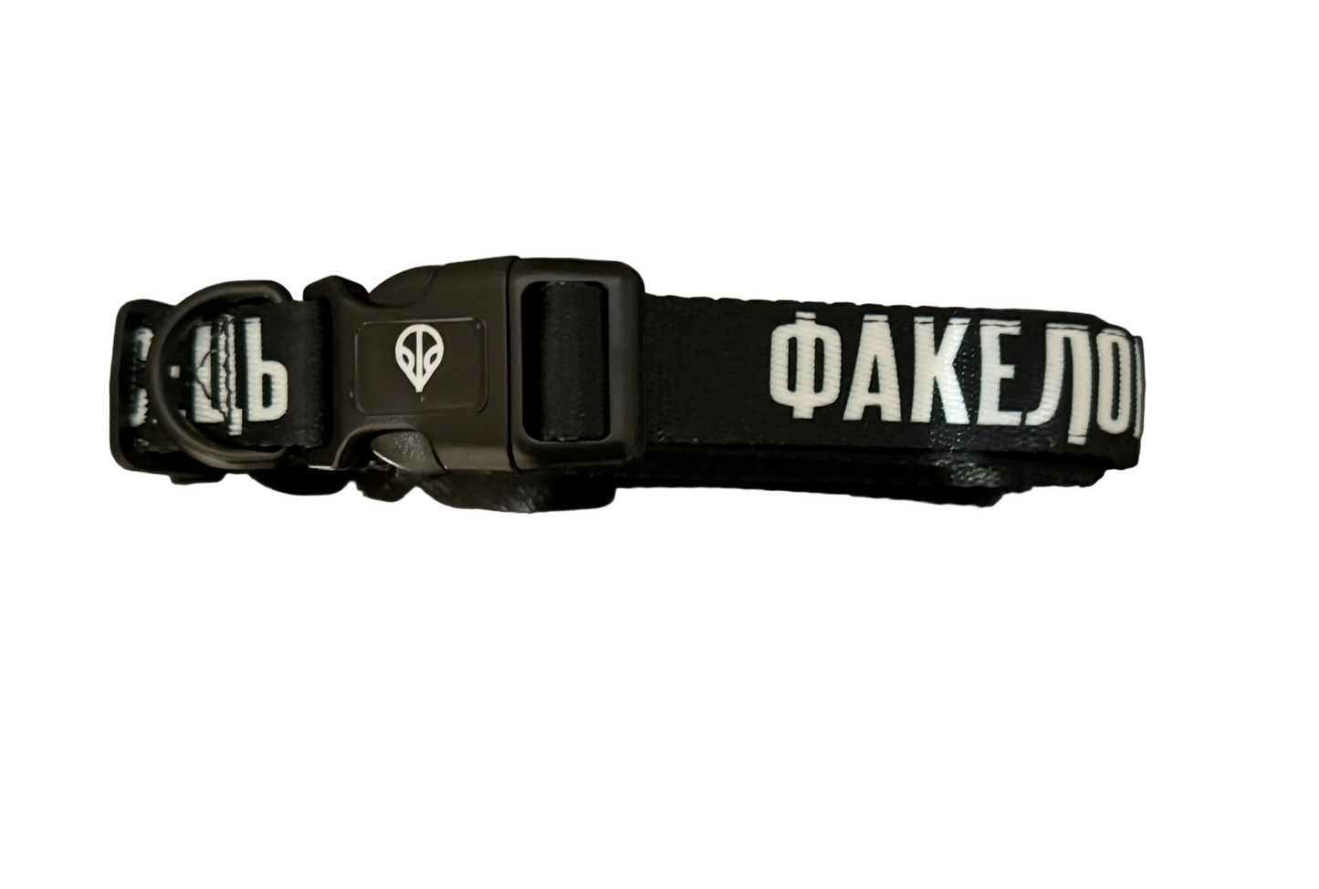 Torchbearer dog collar preorder