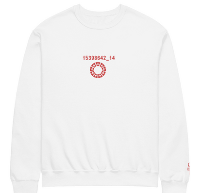 Embroidered Violation code crewneck
