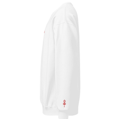 Embroidered Violation code crewneck